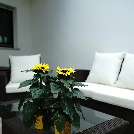 Hotel St. Jobser Hof 3*